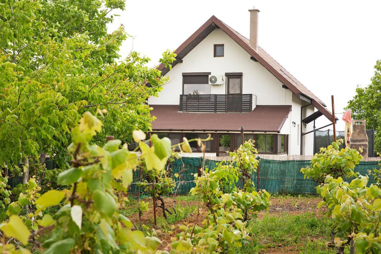 Casa Din Vie, Piscina Incalzita, Intreaga Locatie La 15Min De Centrul Orasului Oradea Exterior foto
